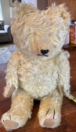 Antique Teddy Bears Identification & Valuation (Guide 2023)