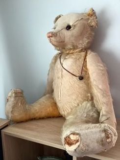 12 Antique Straw Stuffed Steiff Teddy Bear with Button in Ear